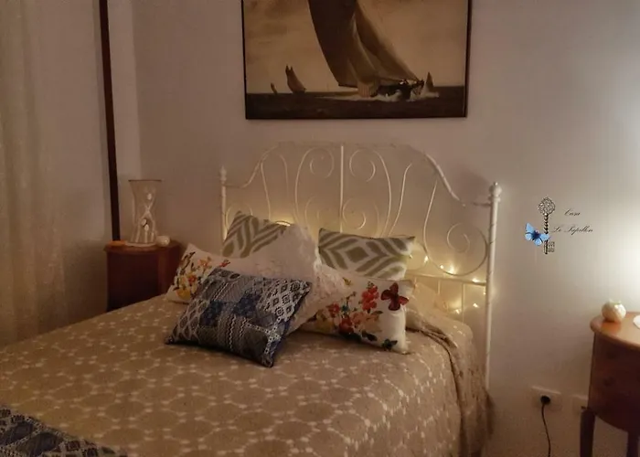 Daire Casa Le Papillon La Laguna (Tenerife)